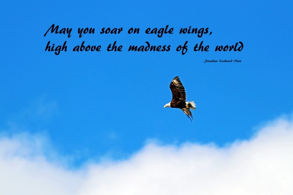 Soar On Eagle Wings by Deb Oppermann